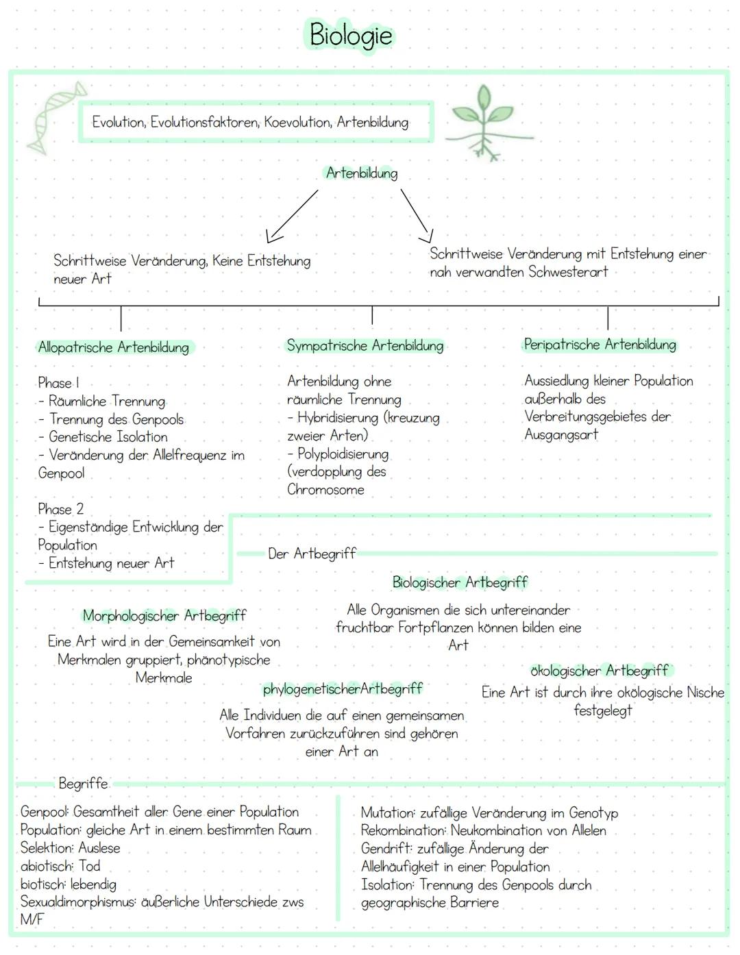 Biologie # Biologie
Evolution, Evolutionsfaktoren, Koevolution, Artenbildung
Artenbildung
Schrittweise Veränderung, Keine Entstehung
neue