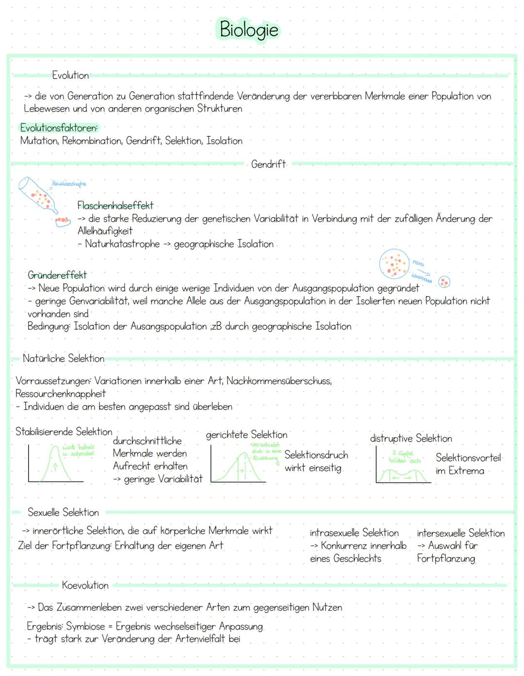Biologie # Biologie
Evolution, Evolutionsfaktoren, Koevolution, Artenbildung
Artenbildung
Schrittweise Veränderung, Keine Entstehung
neue