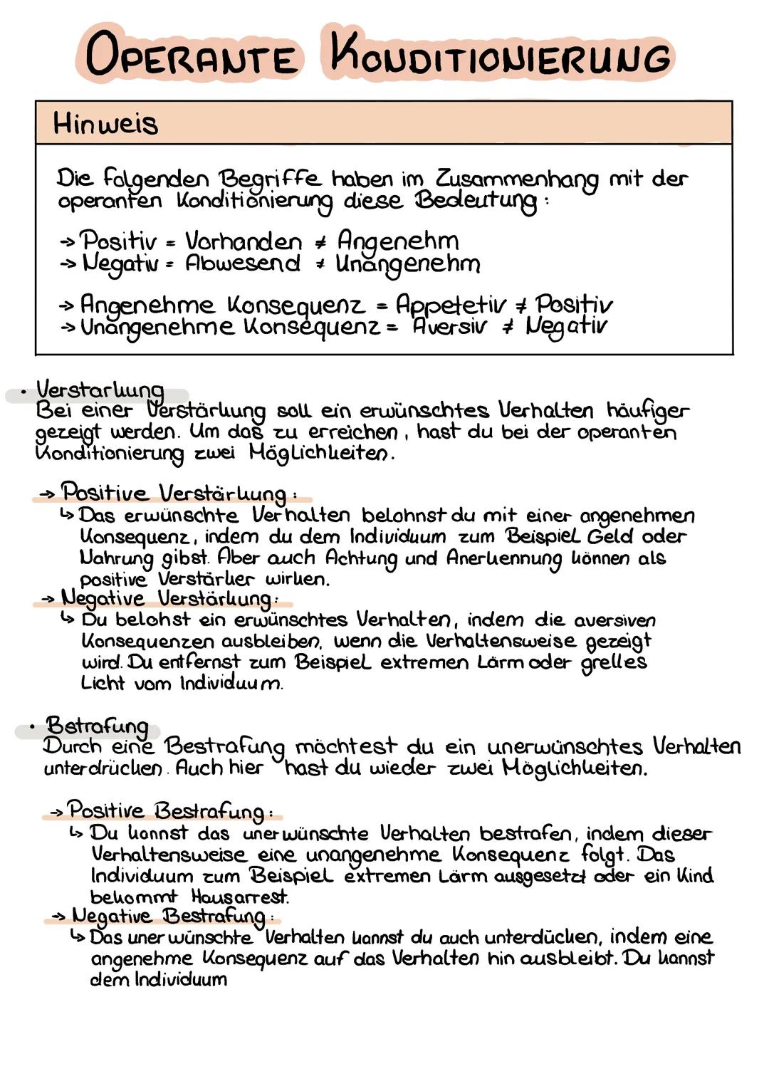 Operante Konditionierung im Alltag: Beispiele für Kinder und Schule