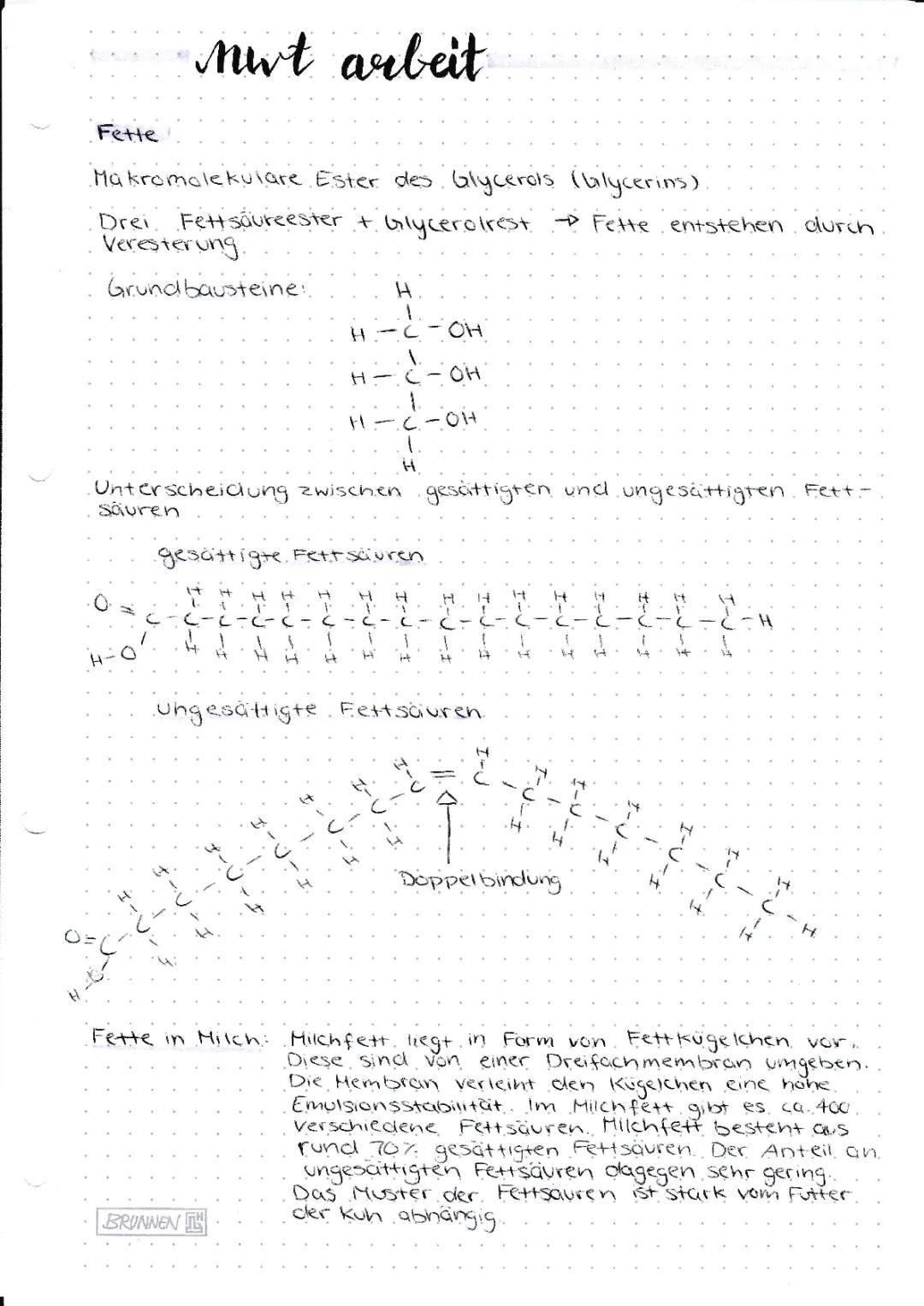 Fette, Peptidbindung, Struktur Proteine, Sauermlichprodukte