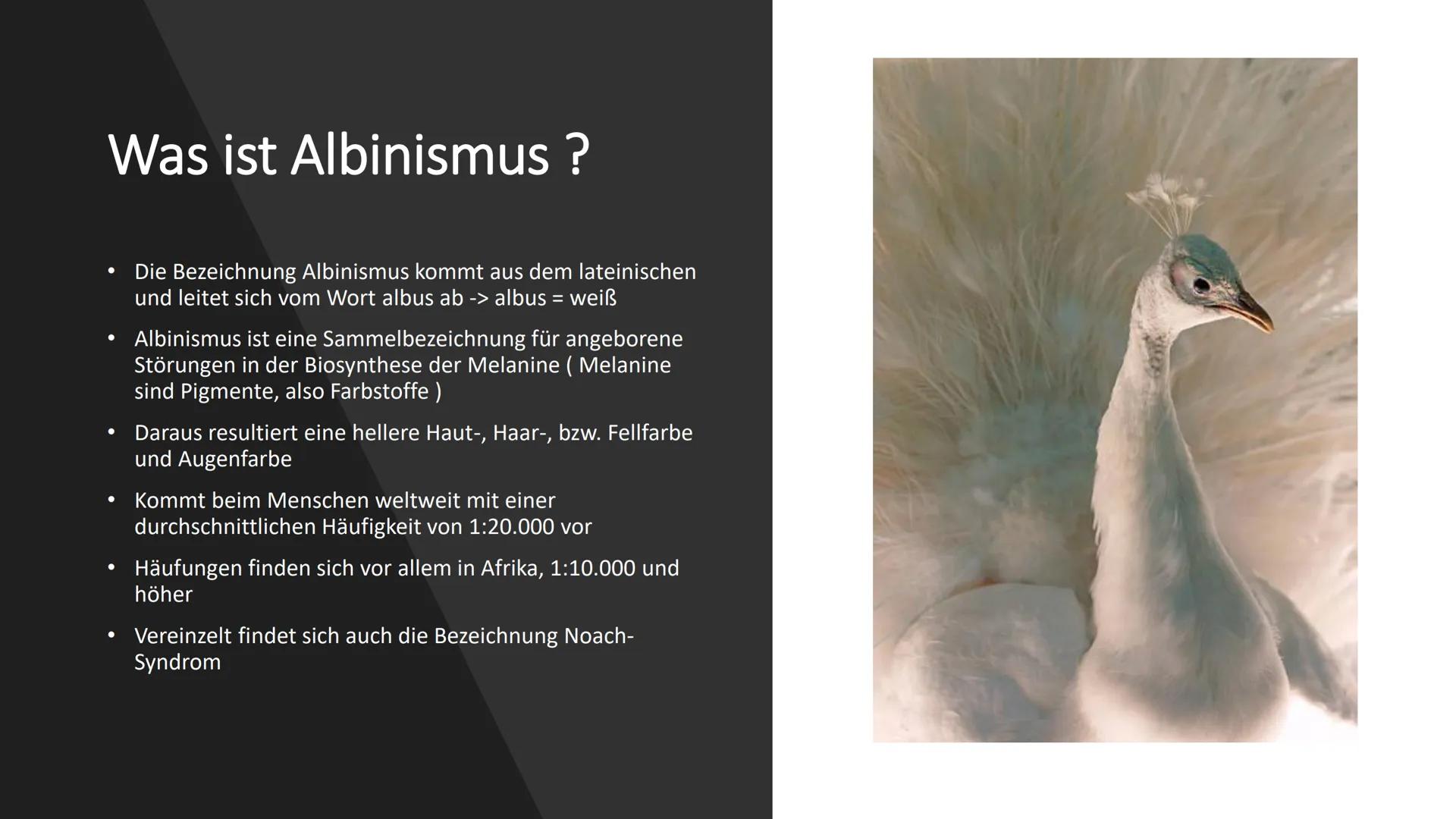 ALBINISMUS # Inhaltsverzeichnis
* Was ist Albinismus ?
* Symptome und Beschwerden
* Genetische Ursachen und Erbgang
* Unterschiedli