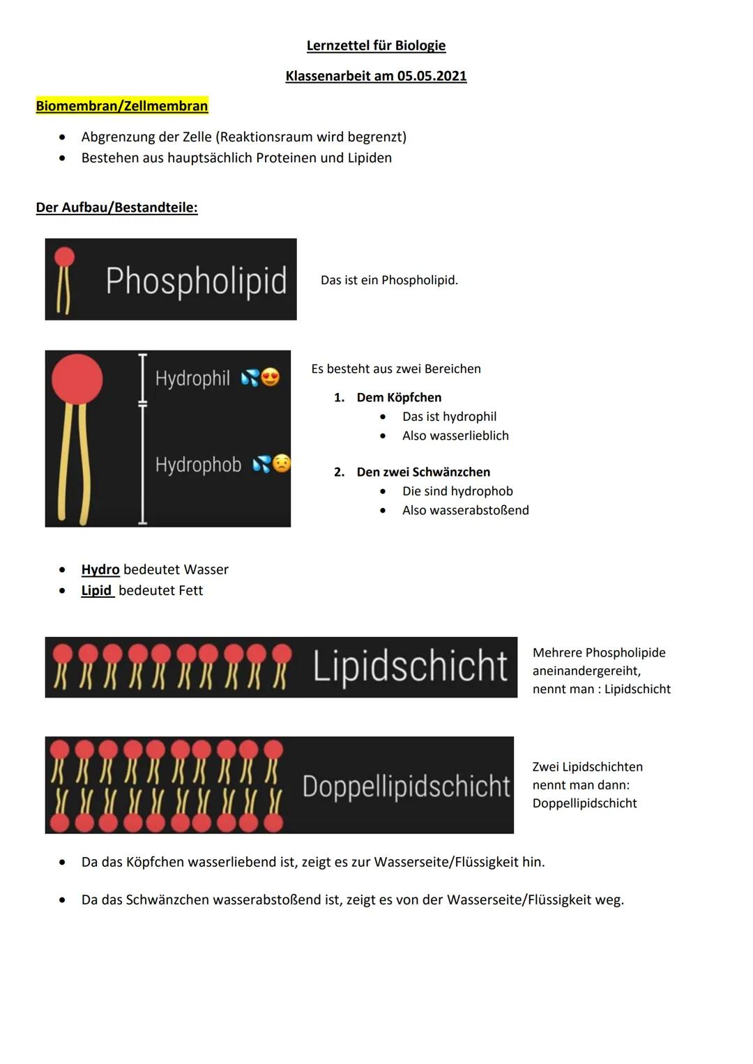# Lernzettel für Biologie
Klassenarbeit am 05.05.2021
Biomembran/Zellmembran
- Abgrenzung der Zelle (Reaktionsraum wird begrenzt)
- Besteh