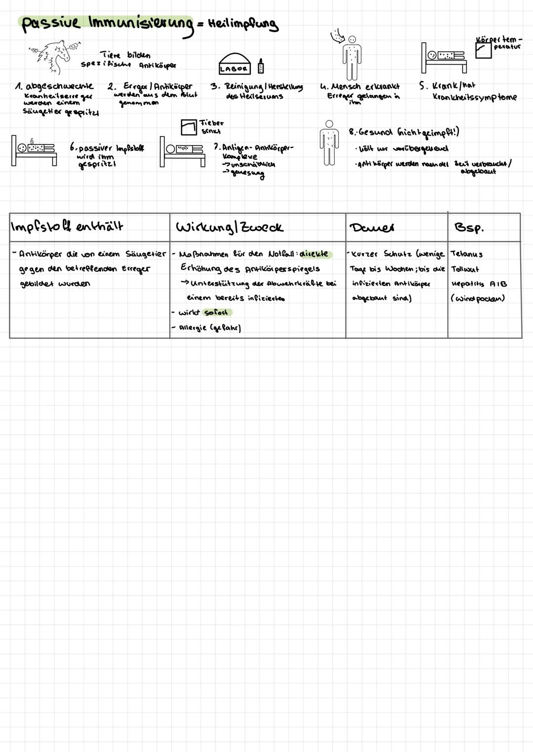 Spezifische Immunabwehr
Die Antigen-Antikörper
Reaktionen
Antigene: Körpereigene Strukturen (Eiweise oder Zucker) an der Zelloberfläsche von