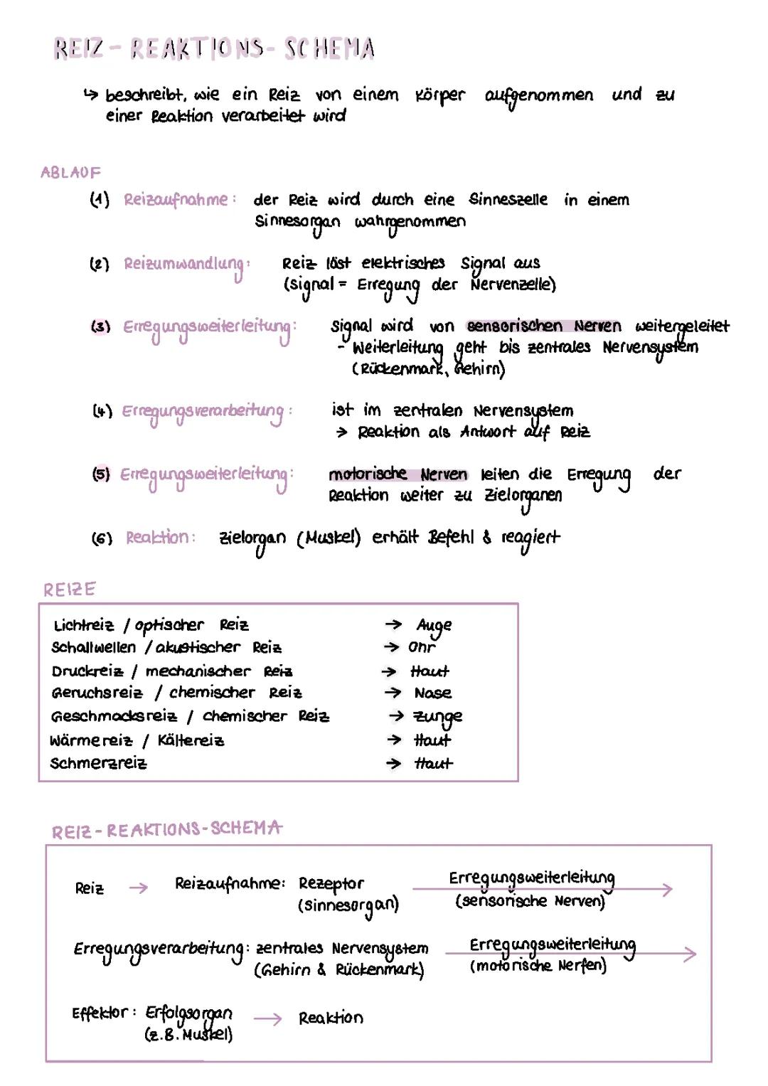Reiz-Reaktion-Schema