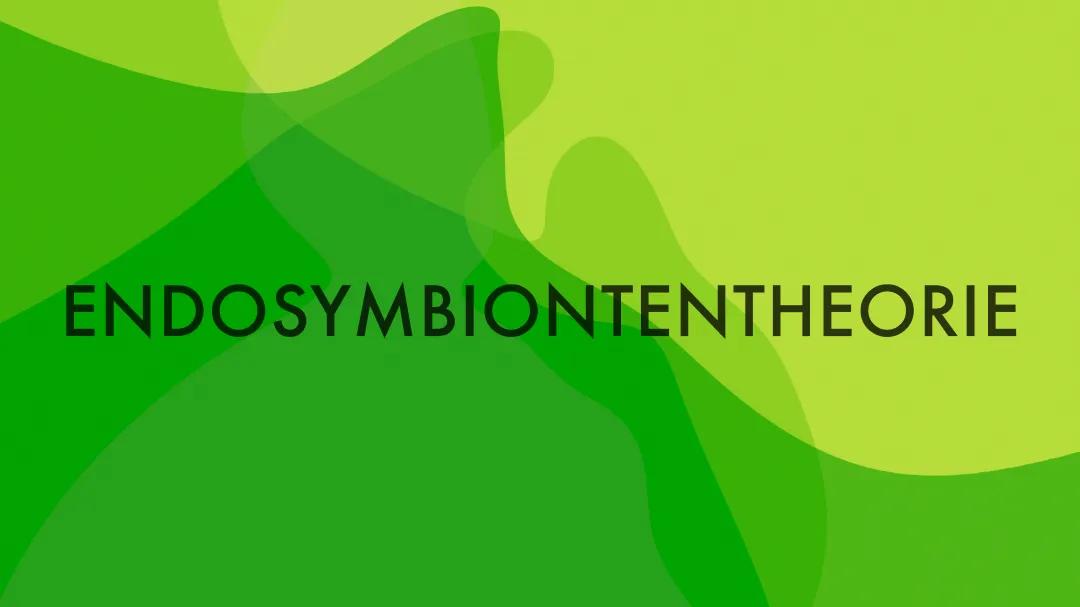 Endosymbiontentheorie