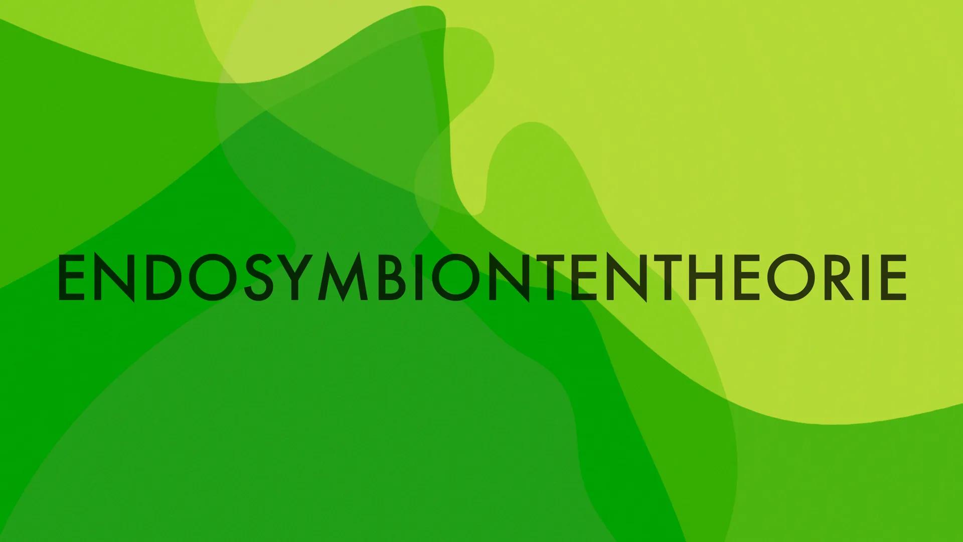 ENDOSYMBIONTENTHEORIE VORWISSEN
- Prokaryoten: zelluläre Lebewesen, kein
Zellkern
- Eukaryoten: Lebewesen, haben einen
Zellkern
-
Ur-Eukaryo