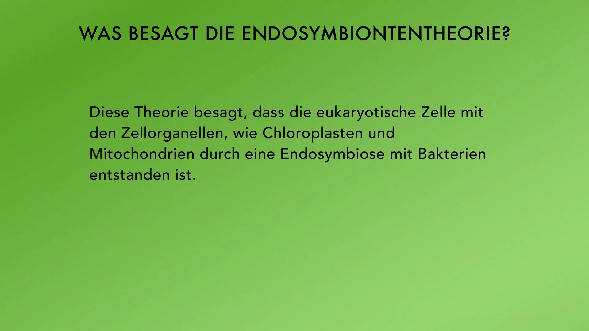 ENDOSYMBIONTENTHEORIE VORWISSEN
- Prokaryoten: zelluläre Lebewesen, kein
Zellkern
- Eukaryoten: Lebewesen, haben einen
Zellkern
-
Ur-Eukaryo