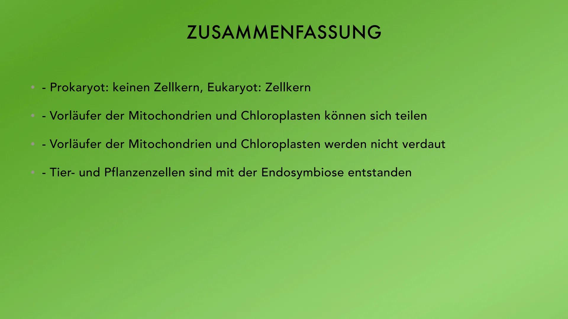 ENDOSYMBIONTENTHEORIE VORWISSEN
- Prokaryoten: zelluläre Lebewesen, kein
Zellkern
- Eukaryoten: Lebewesen, haben einen
Zellkern
-
Ur-Eukaryo