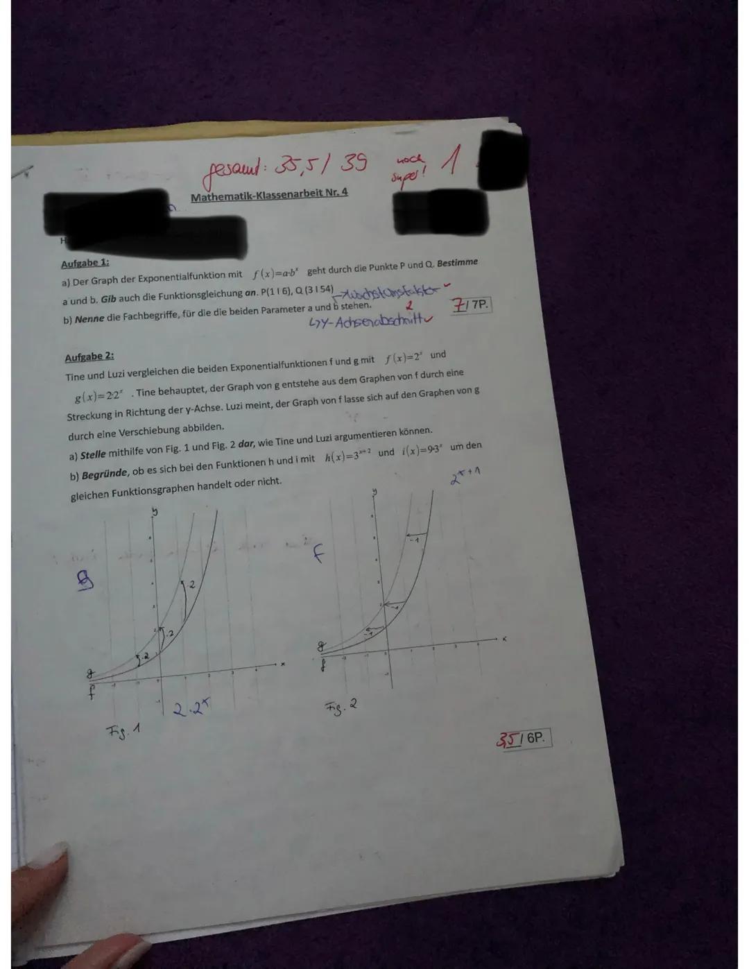 Exponentielles Wachstum Aufgaben Klasse 10 mit Lösungen - PDF