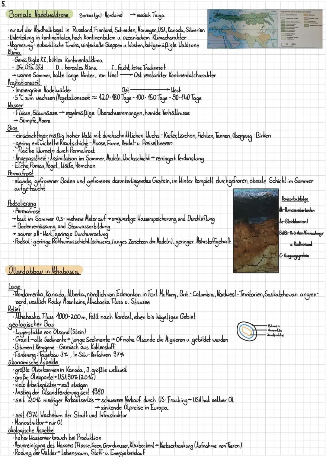 Raumanalyse Boreale Nadelwaldzone, Mallorca, Immerfeuchte Tropen