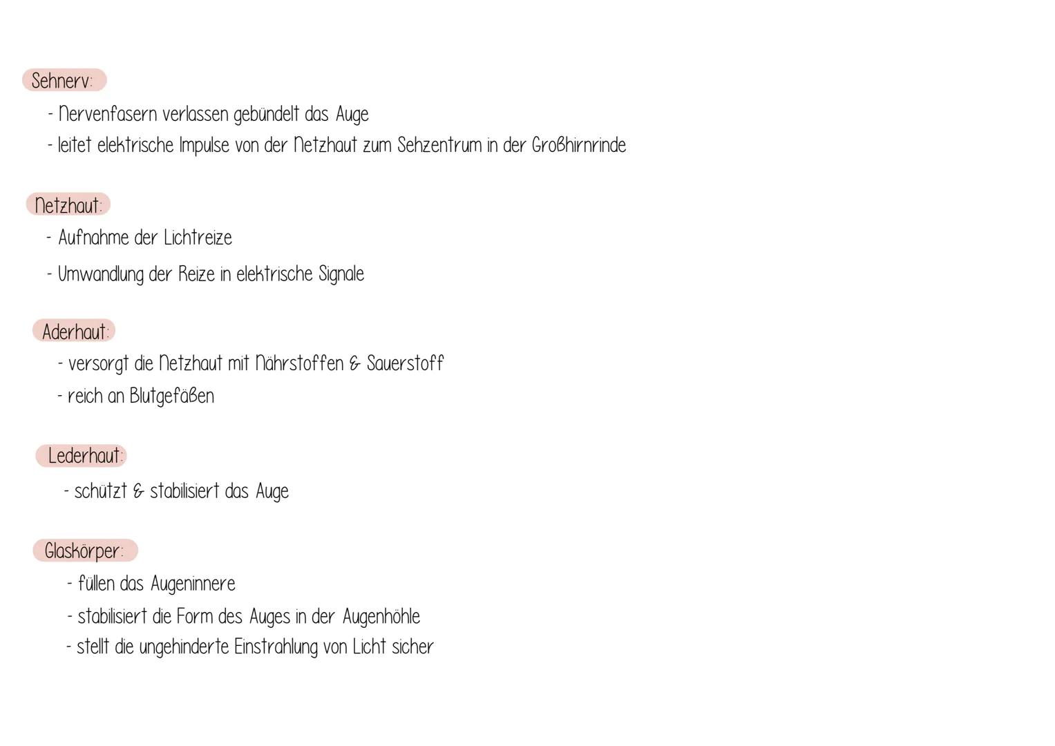Day Auge
AUFBAU:
Linsenbänder
(Zanulafasern)
Linse
vordere
Augenkammer
Pupille
4-64 mm ²
Kornea
(Hornhaut)
Iris
hintere
Augenkammer
Ringmusk