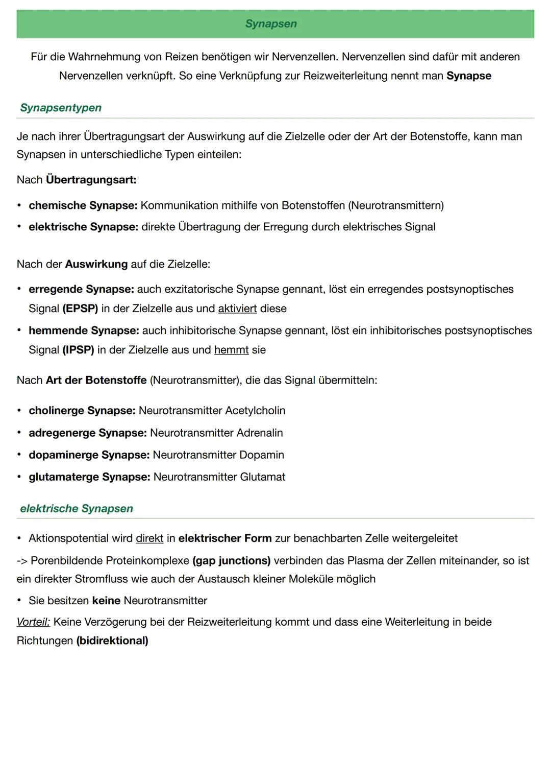 Neurobiologie - Biologie Q.4
Neuronen sind für die Wahrnehmung und Weiterleitung von Reizen oder Erregungen zuständig
Aufbau
Soma: Beinhalte