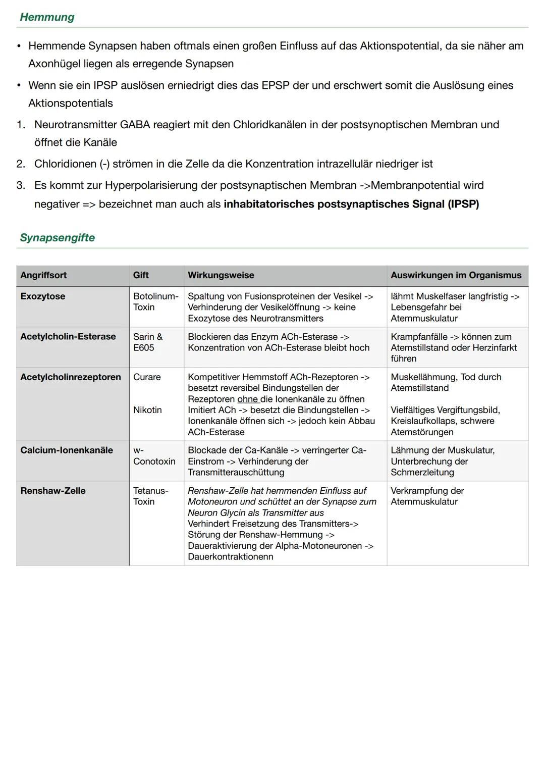 Neurobiologie - Biologie Q.4
Neuronen sind für die Wahrnehmung und Weiterleitung von Reizen oder Erregungen zuständig
Aufbau
Soma: Beinhalte