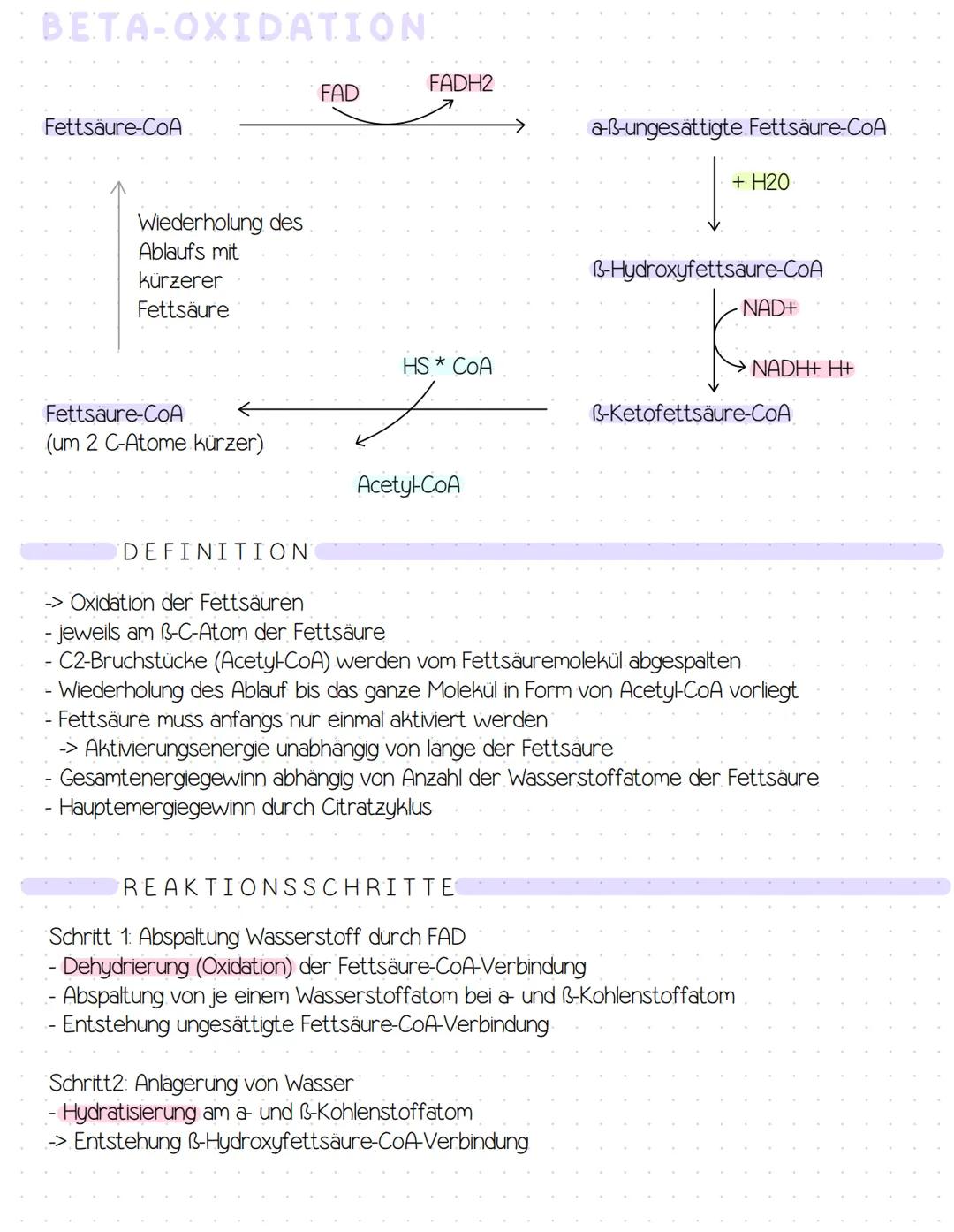 # FETTSTOFFWECHSEL
Plasmalipoproteine
Leberlipide
Gallensäuren
Cholesterin
CO2
Fettsäuren
Acetyl-CoA
freie Fettsäuren
Blut
ATP
Ke
