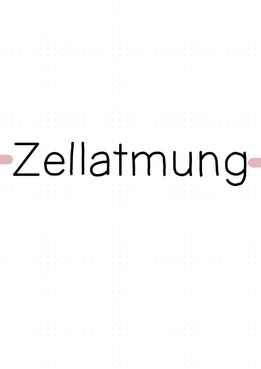 Zellatmung Mitochondrium
mtDNA
äußere Membran
pea
Intermembranraum
Die Zellatmung - Stoffabbau
C6H₁2O6 + 60₂ → 6CO₂ + 6H₂O
Matrix
-Ribosomen