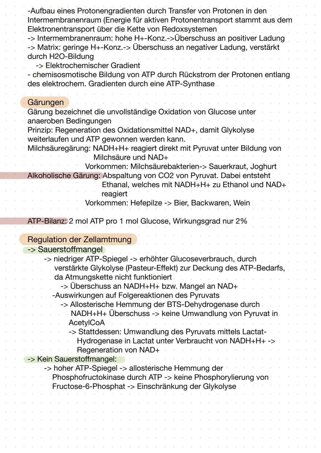 Zellatmung Mitochondrium
mtDNA
äußere Membran
pea
Intermembranraum
Die Zellatmung - Stoffabbau
C6H₁2O6 + 60₂ → 6CO₂ + 6H₂O
Matrix
-Ribosomen