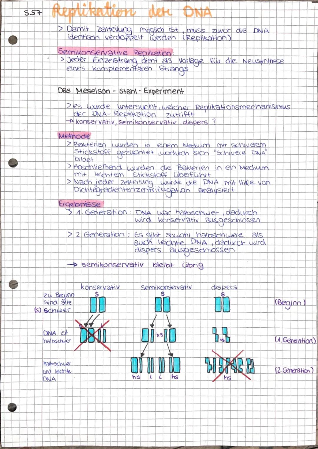 # Autbau der DNA
> DNA besteht aus Prospinat, Desoxiribose (Zucker)
und Basen
Phosphat (P)
O
||
O-P-O
|
O
5
HO-CH
Desoxiribose (۵)
O
OH
C