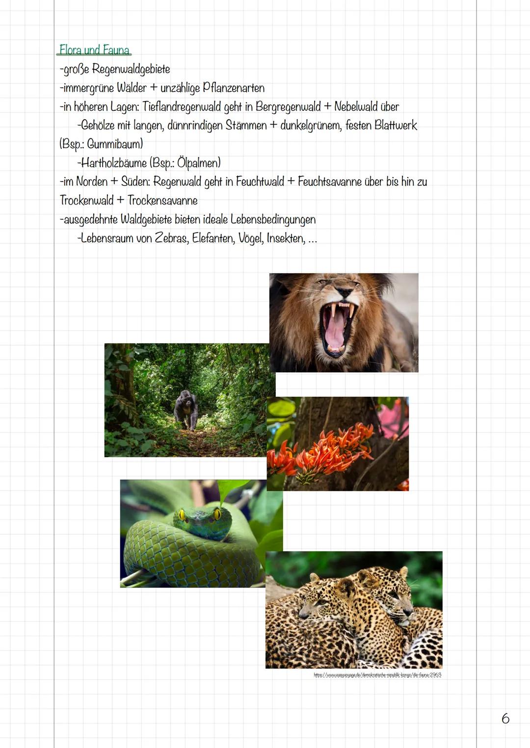 Ressourcenkonflikte - DR Kongo
Alina Prillwitz
12/2
02.03.22 B
Demokratische Republik Kongo - Topographie
H
416
Yu
A
14.h
2 Demokratische Re