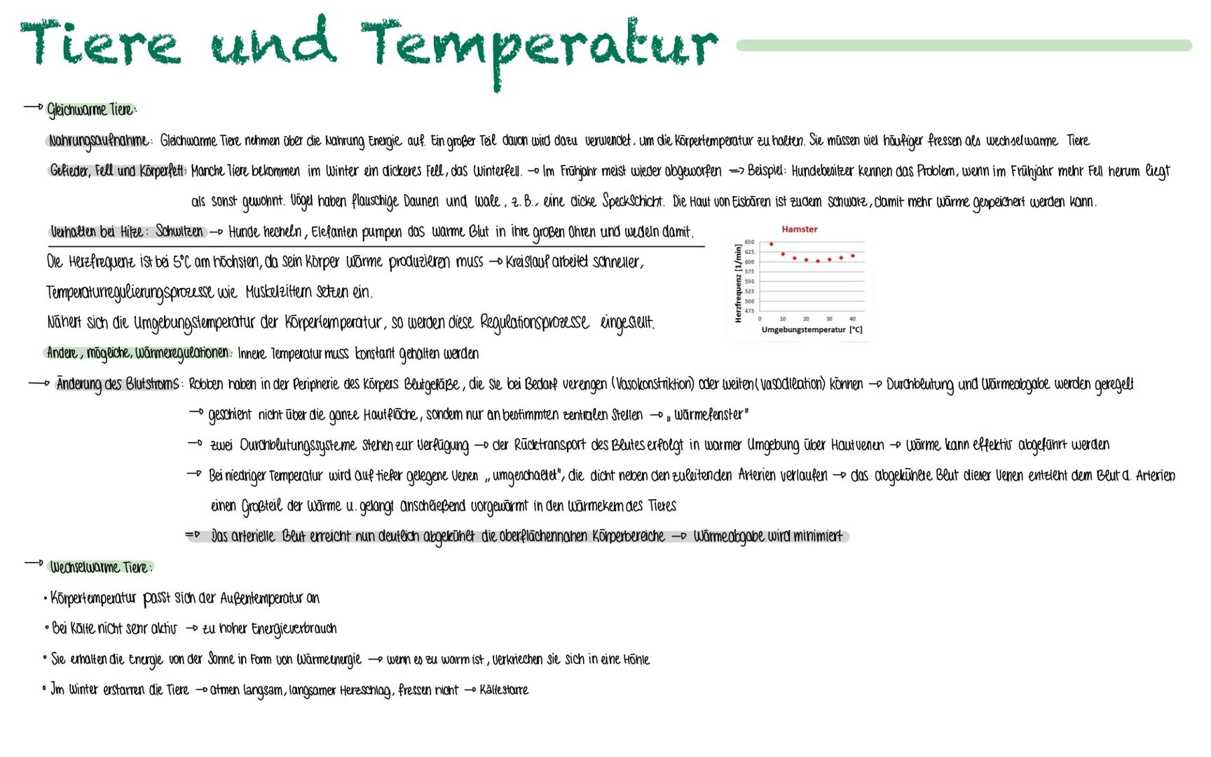 # Tiere und Temperatur
passen sich der äußeren Temperatur an
~ endotherm
Homoiotherm (Gleichwarm)
≈ ektotherm
Poikilotherm (Wechselwarm)
