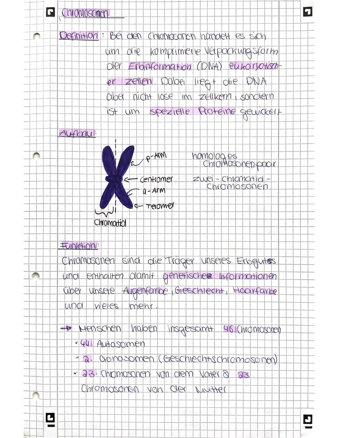 IG
Chromosomen
Definition: Bei den Chromosonen handelt es sich
um die komprimierte Verpackungsform
der Erbinformation (DNA) eukaryotisch-
er