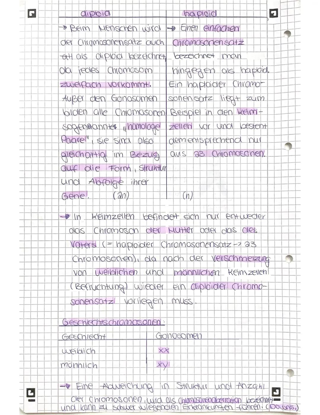 IG
Chromosomen
Definition: Bei den Chromosonen handelt es sich
um die komprimierte Verpackungsform
der Erbinformation (DNA) eukaryotisch-
er
