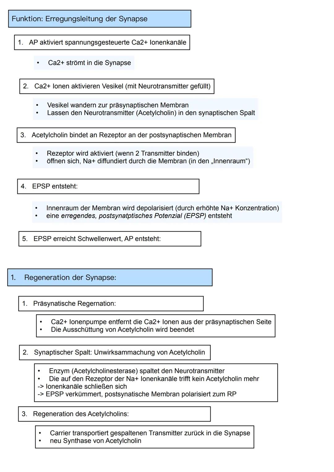 Neurobiologie
Themen:
Basiskonzept:
1. Information und Kommunikation
1. Bau und Funktion von Nervenzellen
2. Membranpotenzial
3. Ruhepot