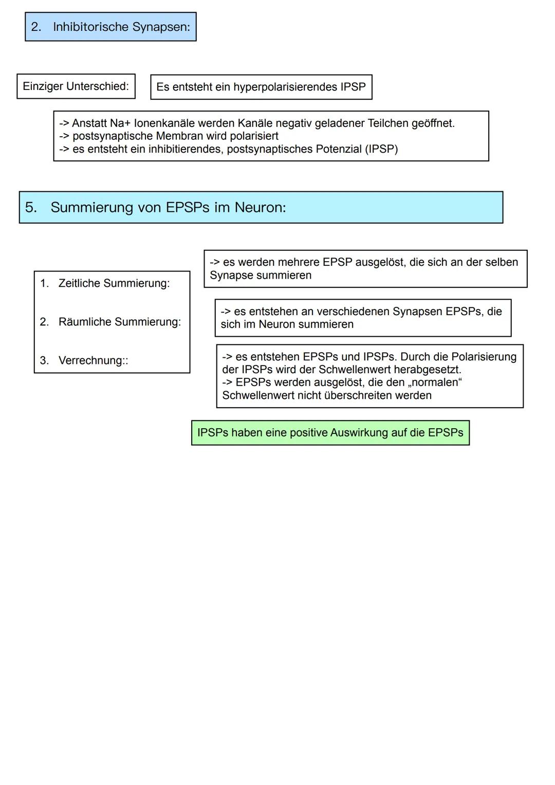 Neurobiologie
Themen:
Basiskonzept:
1. Information und Kommunikation
1. Bau und Funktion von Nervenzellen
2. Membranpotenzial
3. Ruhepot