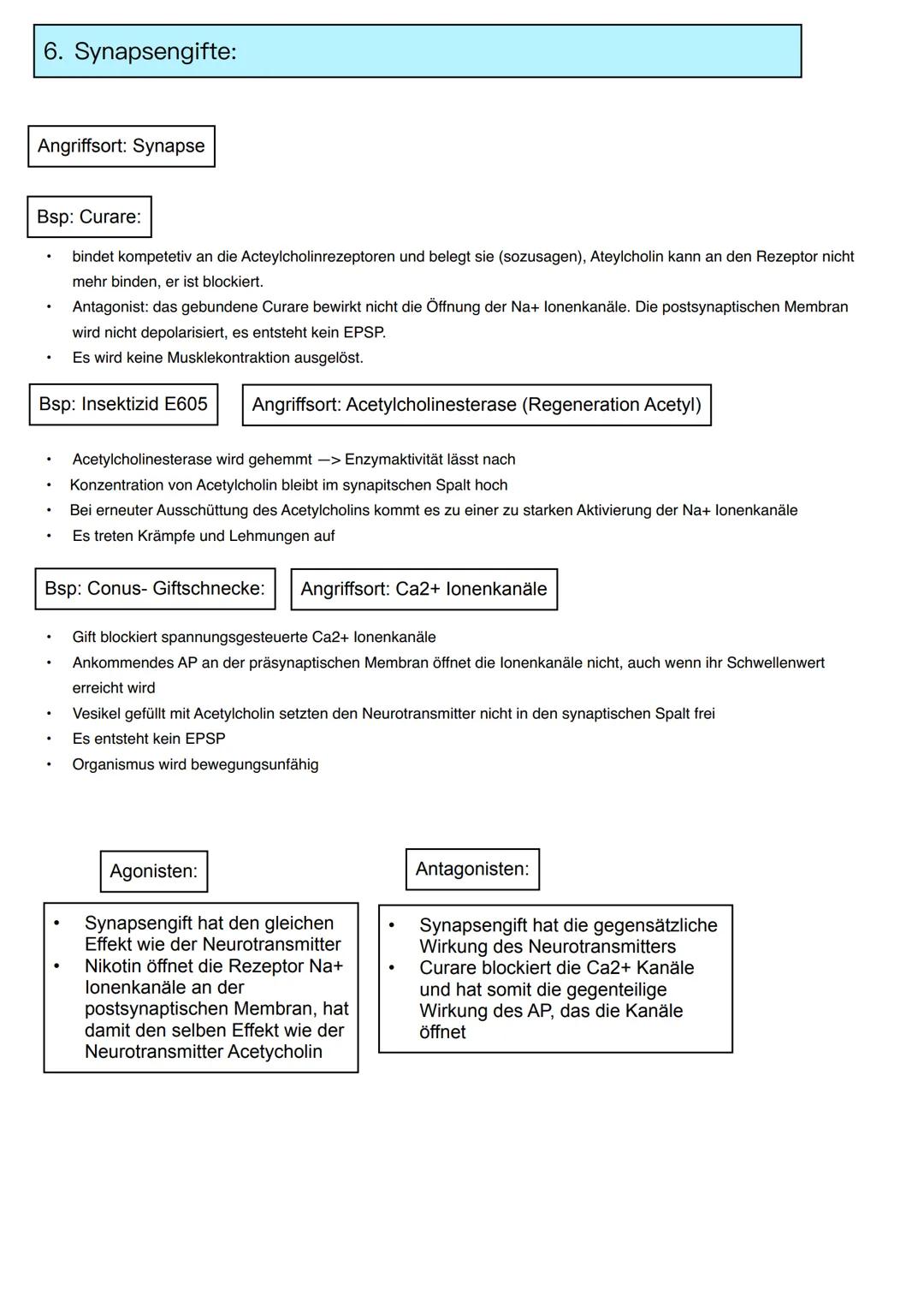 Neurobiologie
Themen:
Basiskonzept:
1. Information und Kommunikation
1. Bau und Funktion von Nervenzellen
2. Membranpotenzial
3. Ruhepot