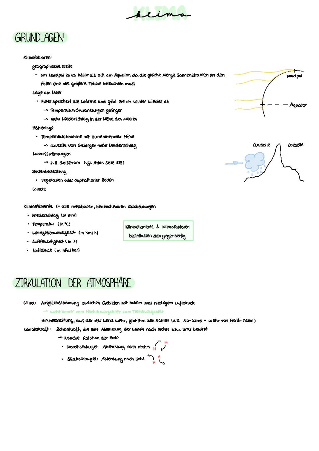 Der tropische Regenwald