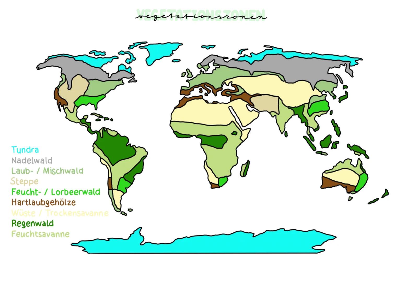 GRUNDLAGEN
Klimafaktoren:
.
•
geographische Breite
• am Nordpol ist es kälter als 2.3. am Äquator, da die gleiche Menge Sonnenstrahlen an de