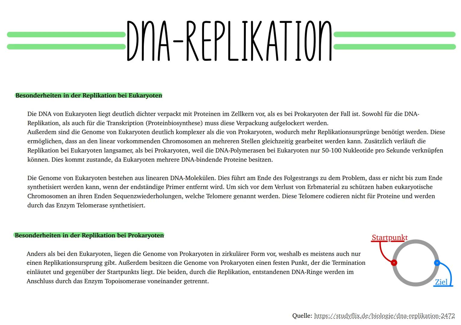 Die DNA-Replikation ist die Verdopplung der DNA innerhalb des Zellkerns. Erst wenn die DNA-Replikation stattgefunden hat, kann sich der Zell