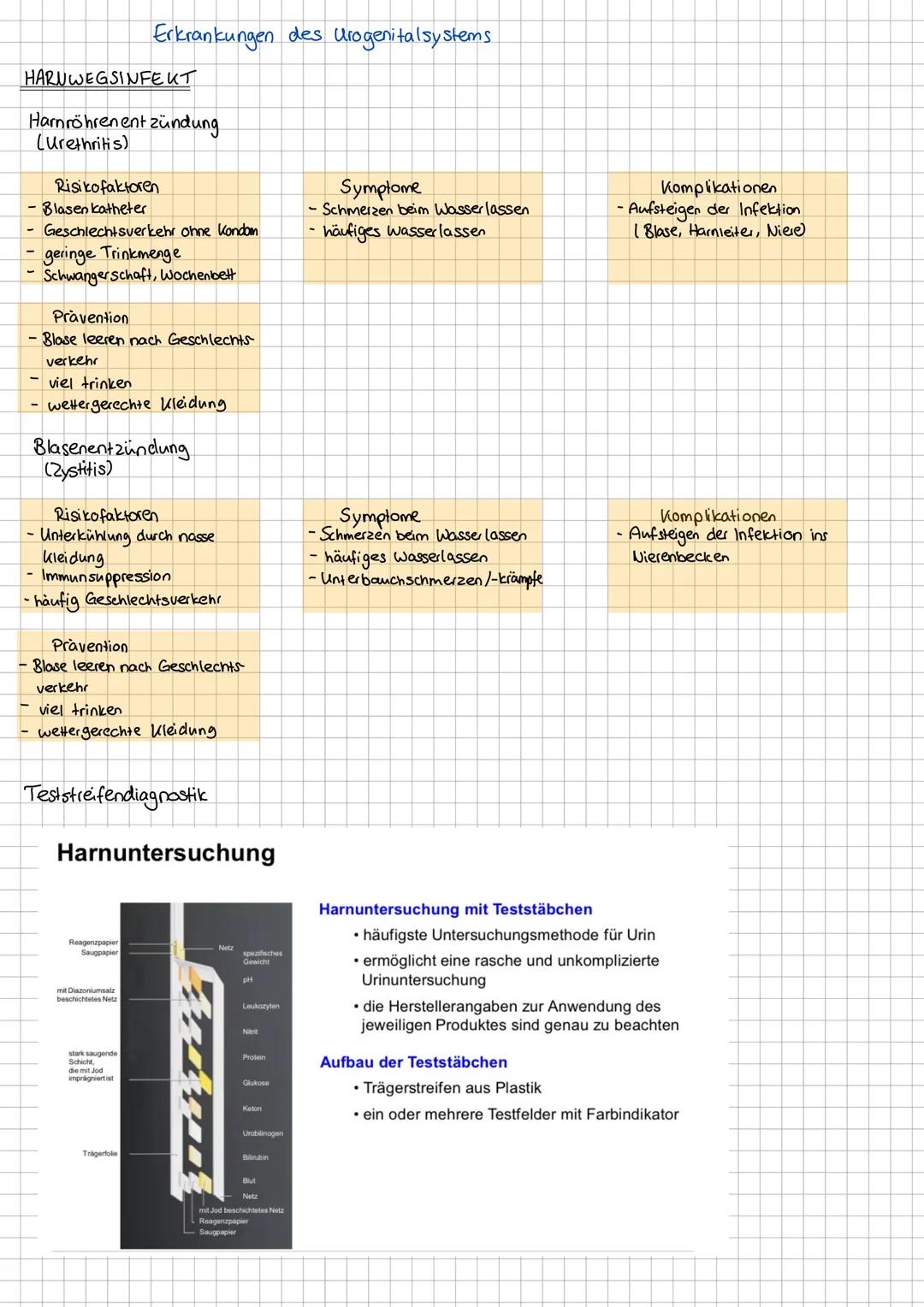 Aufgaben Harnsystem
- Harnbildung + Entgiftung
- Ausscheidung harnpflichtiger Substanzen
-Regulierung Wasser- / Salzhaushalt
-Regulierung Sä