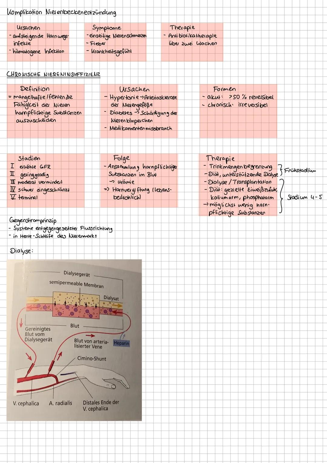 Aufgaben Harnsystem
- Harnbildung + Entgiftung
- Ausscheidung harnpflichtiger Substanzen
-Regulierung Wasser- / Salzhaushalt
-Regulierung Sä