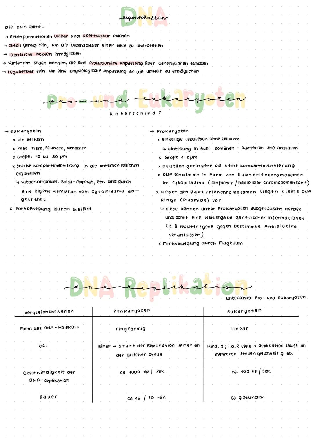 eigenschaften
Die DNA Sollte....
- Erbinformationen Lesbar und übertragbar machen
- Stabil genug sein, um die Lebensdauer einer zelue zu üb