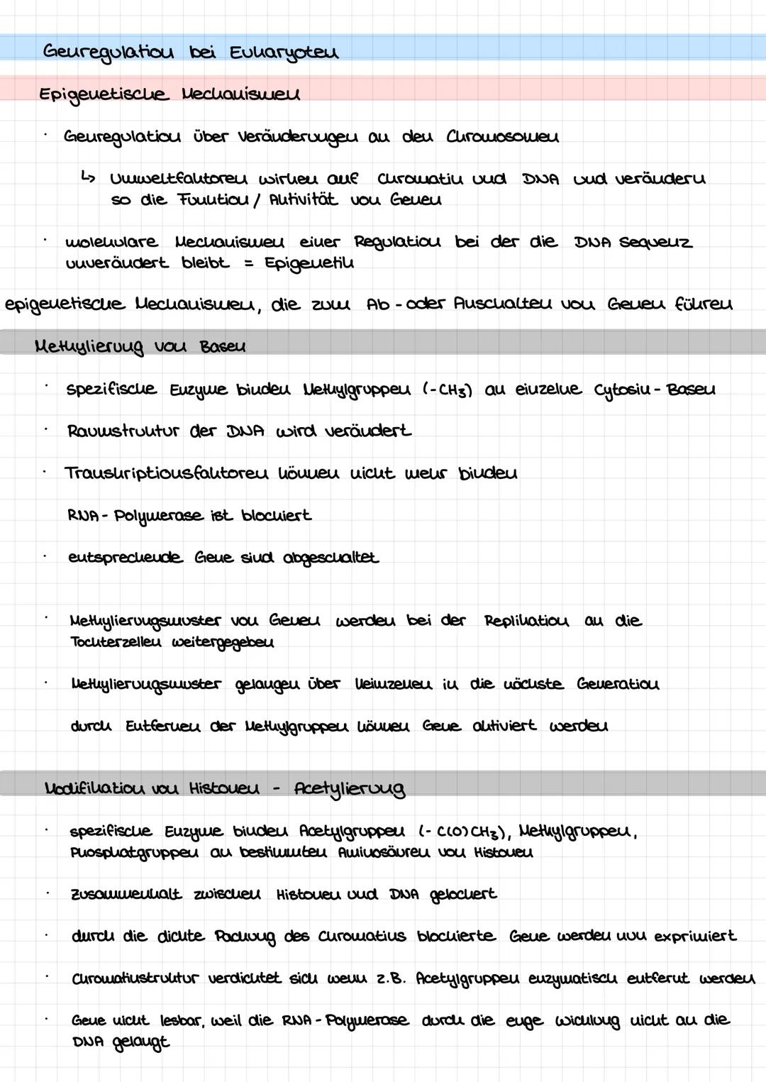 Geuregulatiou bei Eukaryoteu
4614
Intron-
Cytoplasma
XXXXXX
Abbau der mRNA
Chromatin
Umstrukturierung
Chromatin
DNA
Transkription
Translatio