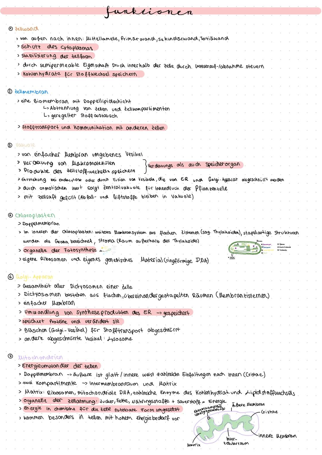 # Zytologie
merke Die Zelle ist die uleinste Funktionseinheit des Lebens, bei der die Kennzeichen des Lebens erkennbar sind.
می
sebenen
P