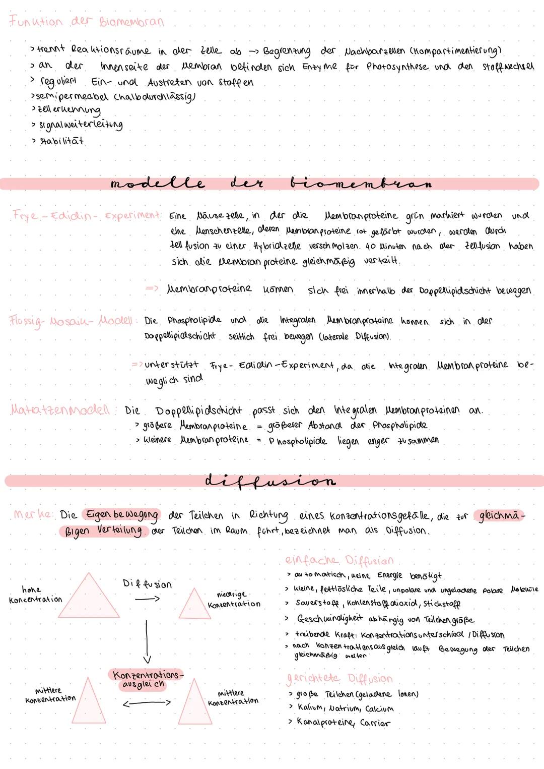 # Zytologie
merke Die Zelle ist die uleinste Funktionseinheit des Lebens, bei der die Kennzeichen des Lebens erkennbar sind.
می
sebenen
P
