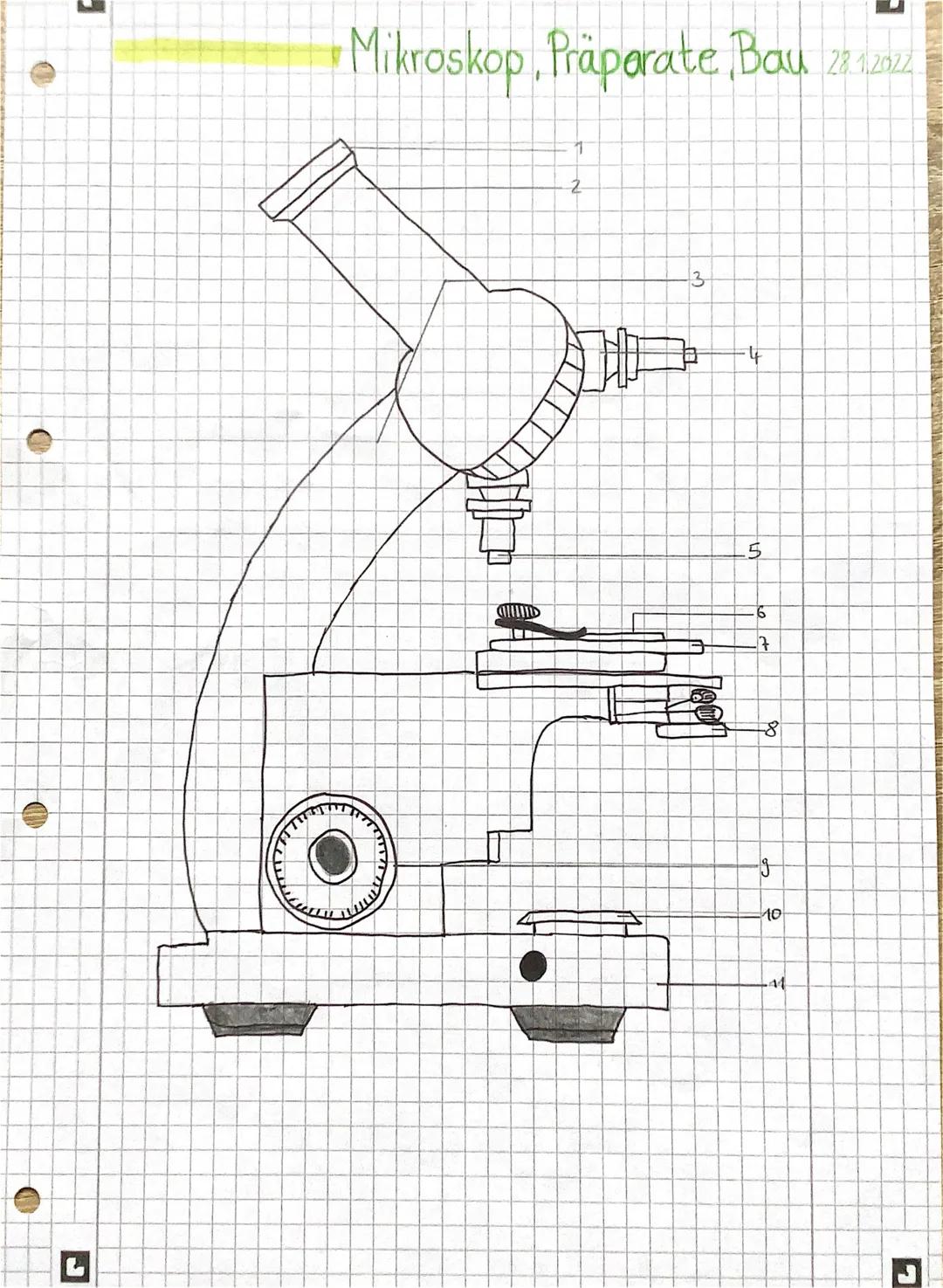 # Mikroskop, Präporate, Bau 28.1.201
1
2
3
4
5
6
7
8
9
10
11 1 Okular
vergrößert das vom Objektiv vergrößerte
Zwischenbild
2 Tubus
hält Ok