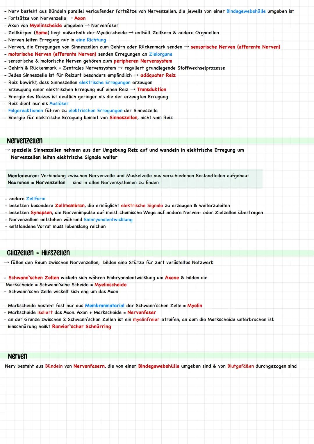 Reiz - Reaktions - Schema
Reize sind innere (aus dem Körper) und äußere (aus der Umwelt) Einwirkungen, die lebende Organismen aufnehmen, ver