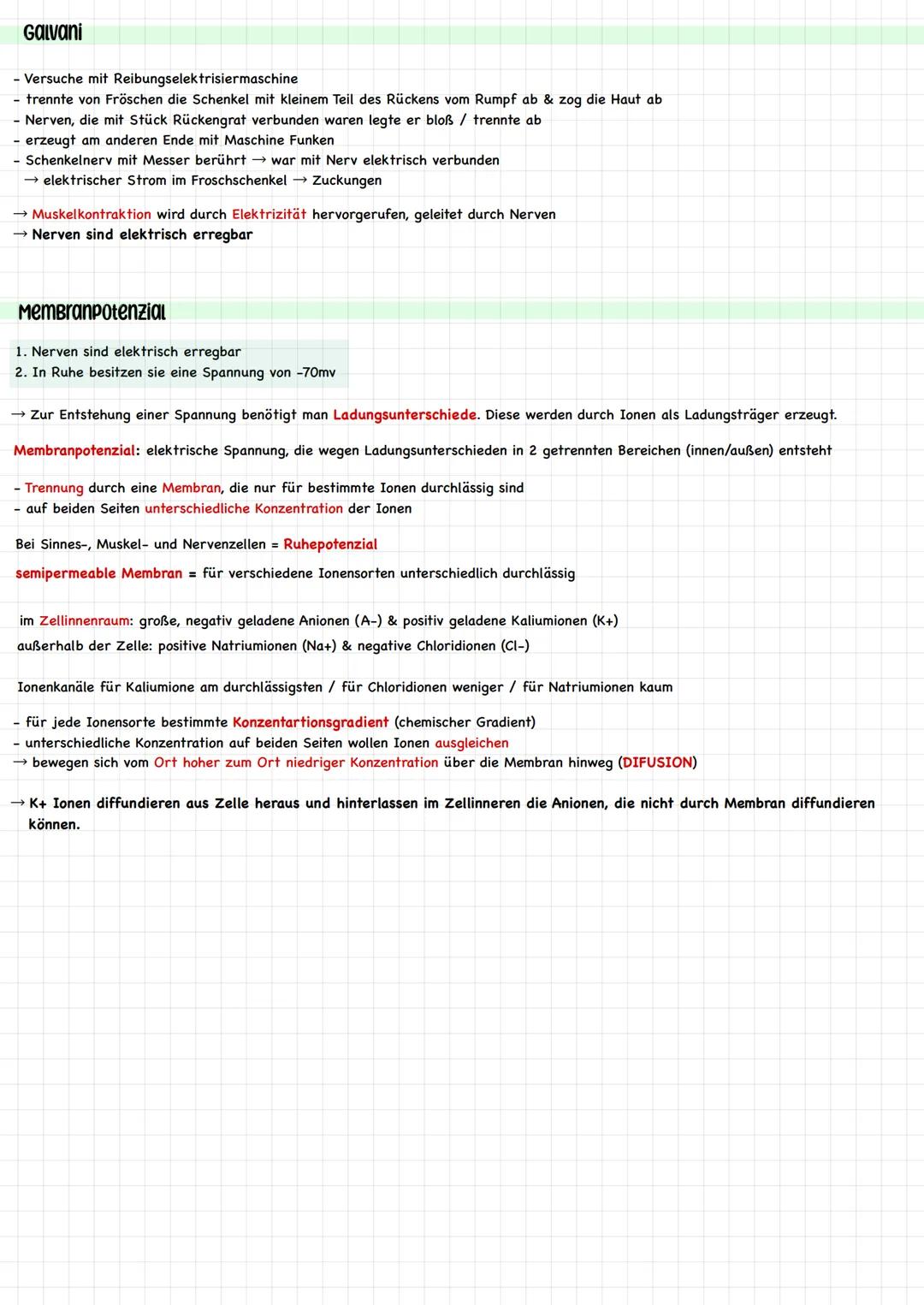 Reiz - Reaktions - Schema
Reize sind innere (aus dem Körper) und äußere (aus der Umwelt) Einwirkungen, die lebende Organismen aufnehmen, ver