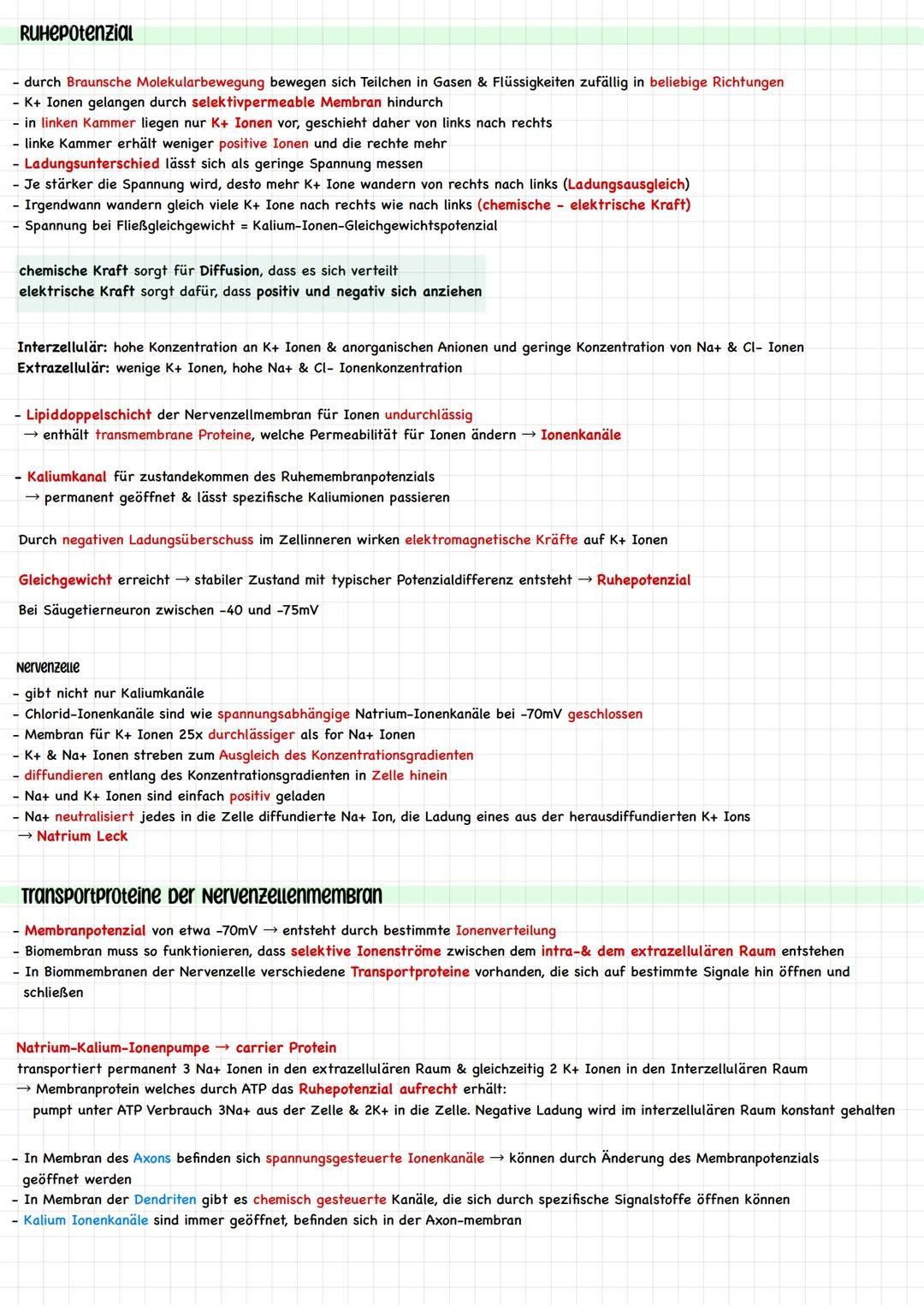 Reiz - Reaktions - Schema
Reize sind innere (aus dem Körper) und äußere (aus der Umwelt) Einwirkungen, die lebende Organismen aufnehmen, ver