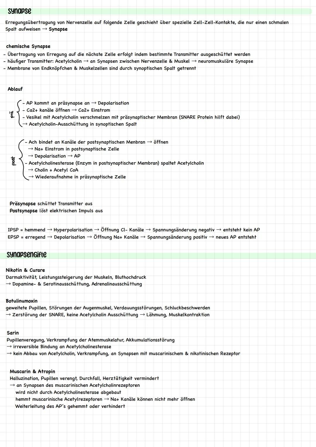 Reiz - Reaktions - Schema
Reize sind innere (aus dem Körper) und äußere (aus der Umwelt) Einwirkungen, die lebende Organismen aufnehmen, ver