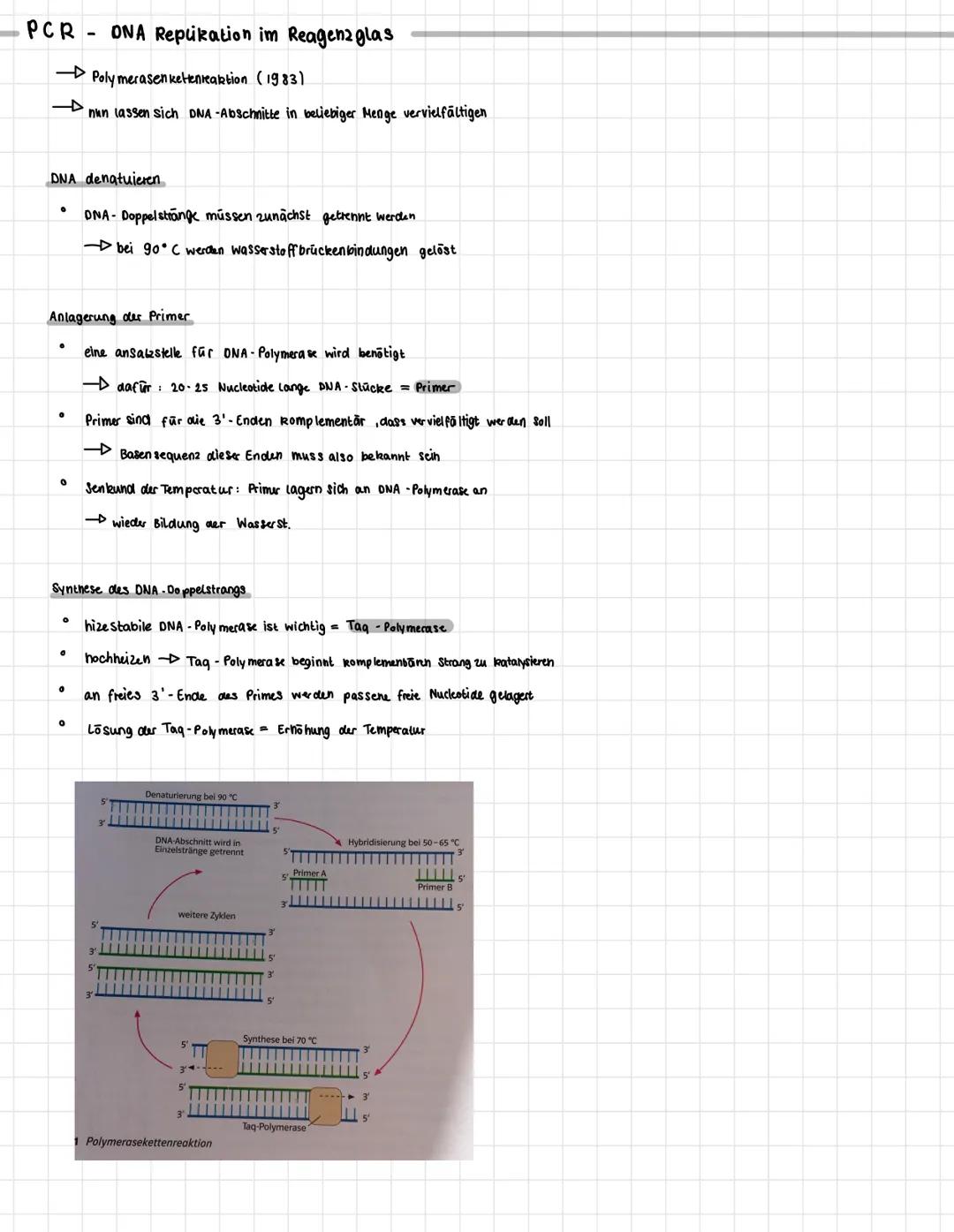 Auf bau DNA und RNA
Bau der DNA:
·
9
O
0
0
.
O
drei unterschiedliche Gruppen von Molekülen
Zucker (Desoxyribose)
Phosphat gruppe
organische
