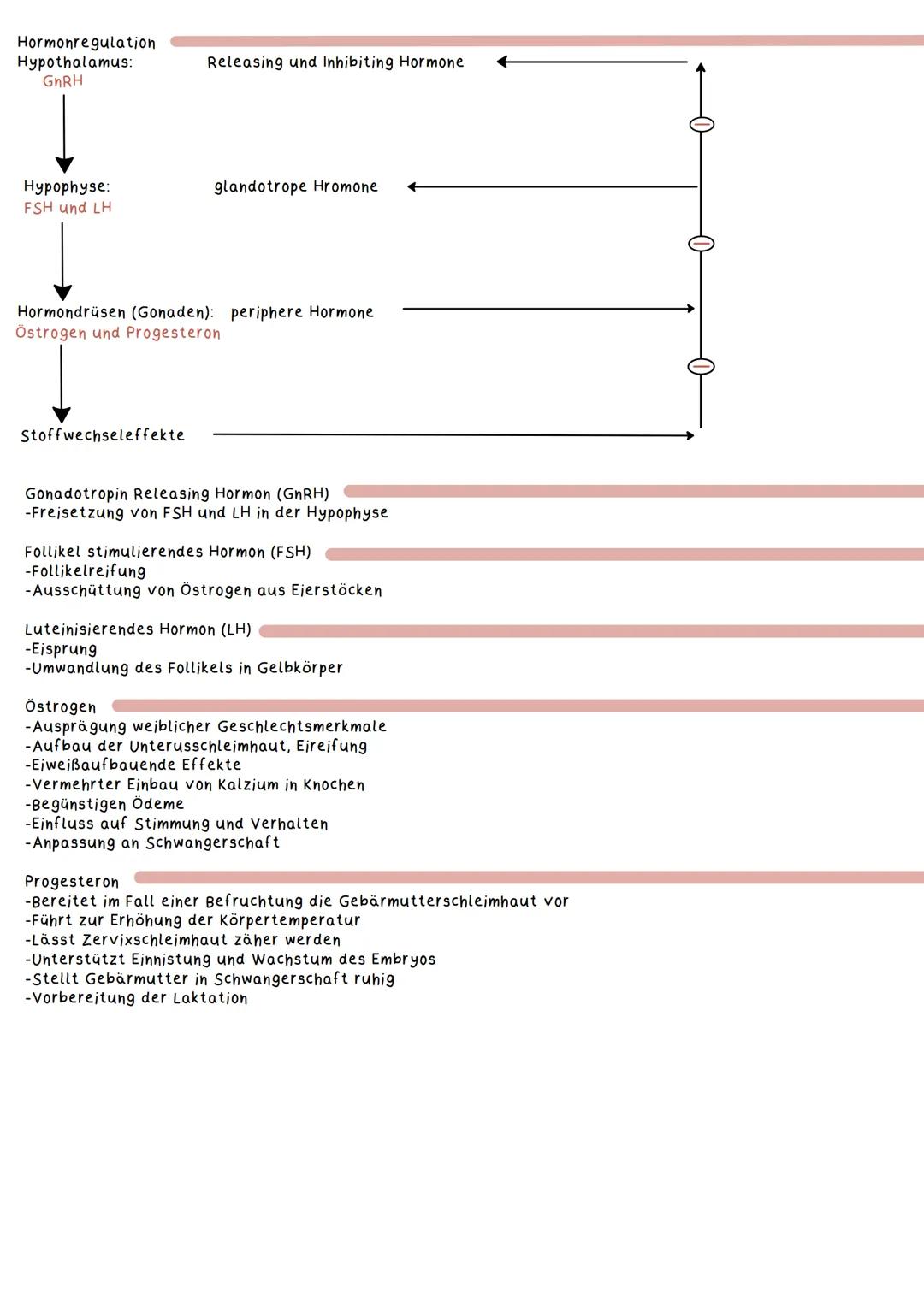Geschlechtsorgane
Weibliche Geschlechtsorgane:
Primäre Geschlechtsmerkmale
Definition:
Geschlechtsmerkmale, die unmittelbar zur Fortpflanzu