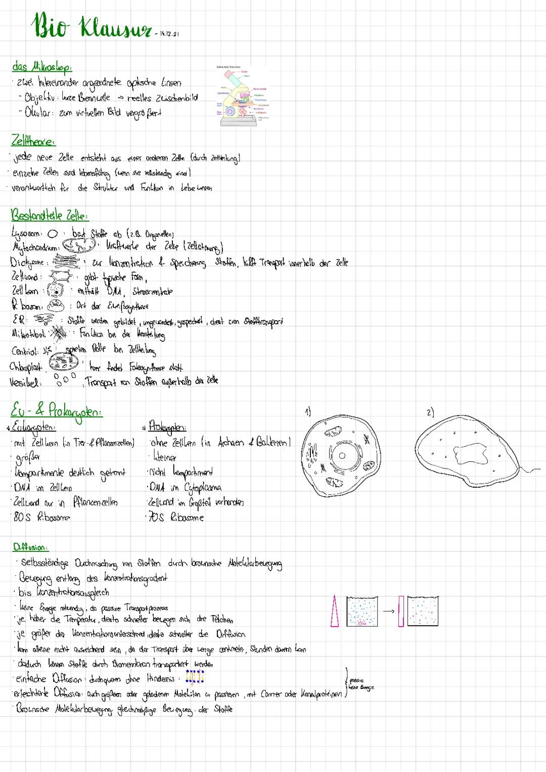 Die Zelle, Endosymbiontentheorie, Zellkommunikation, Stofftransport