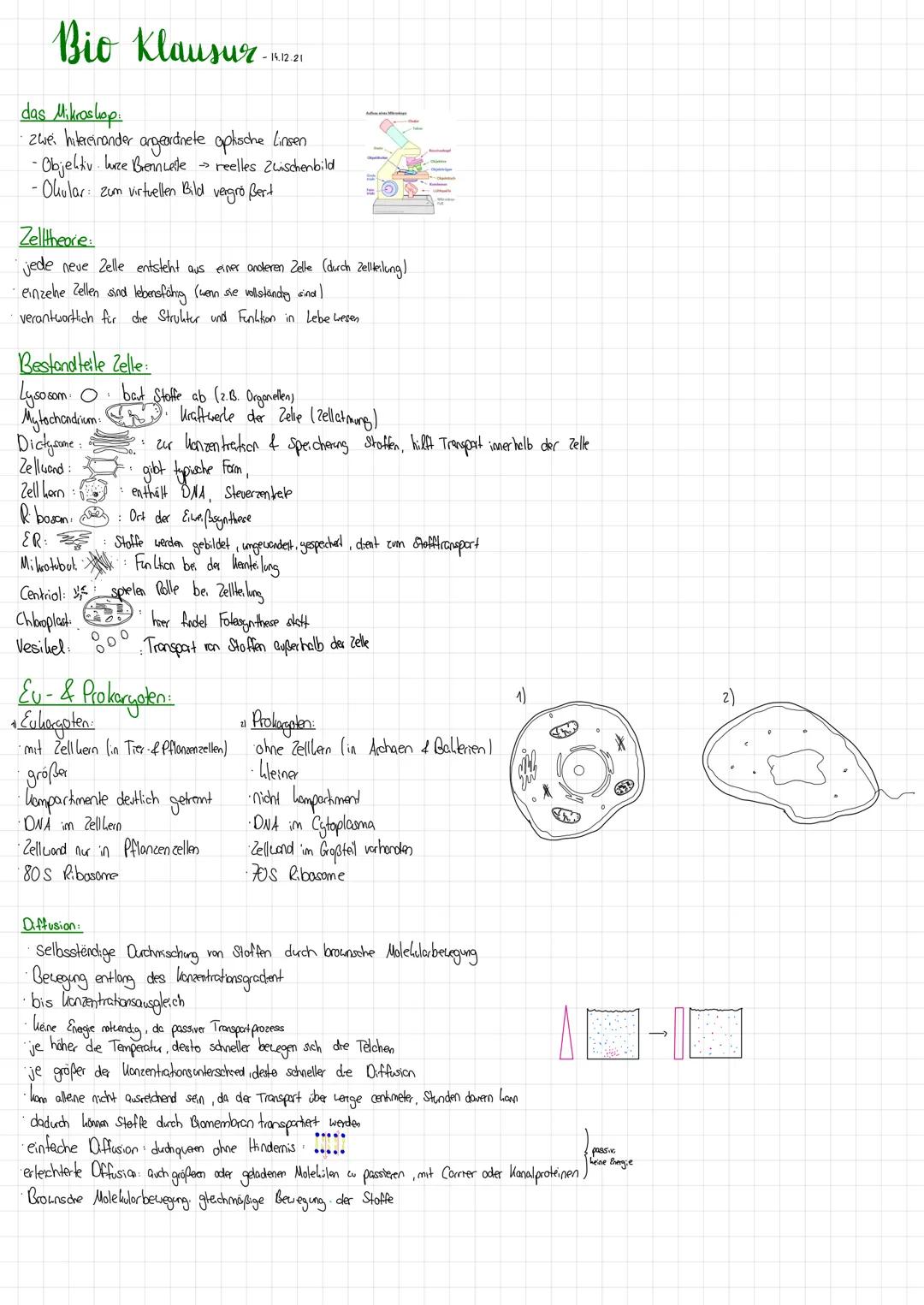 Bio Klausur-ROD
das Mikroskop:
· zwei hitereinander angeordnete optische Linsen
-Objektiv. lurze Brennweite → reelles Zwischenbild
• Okular: