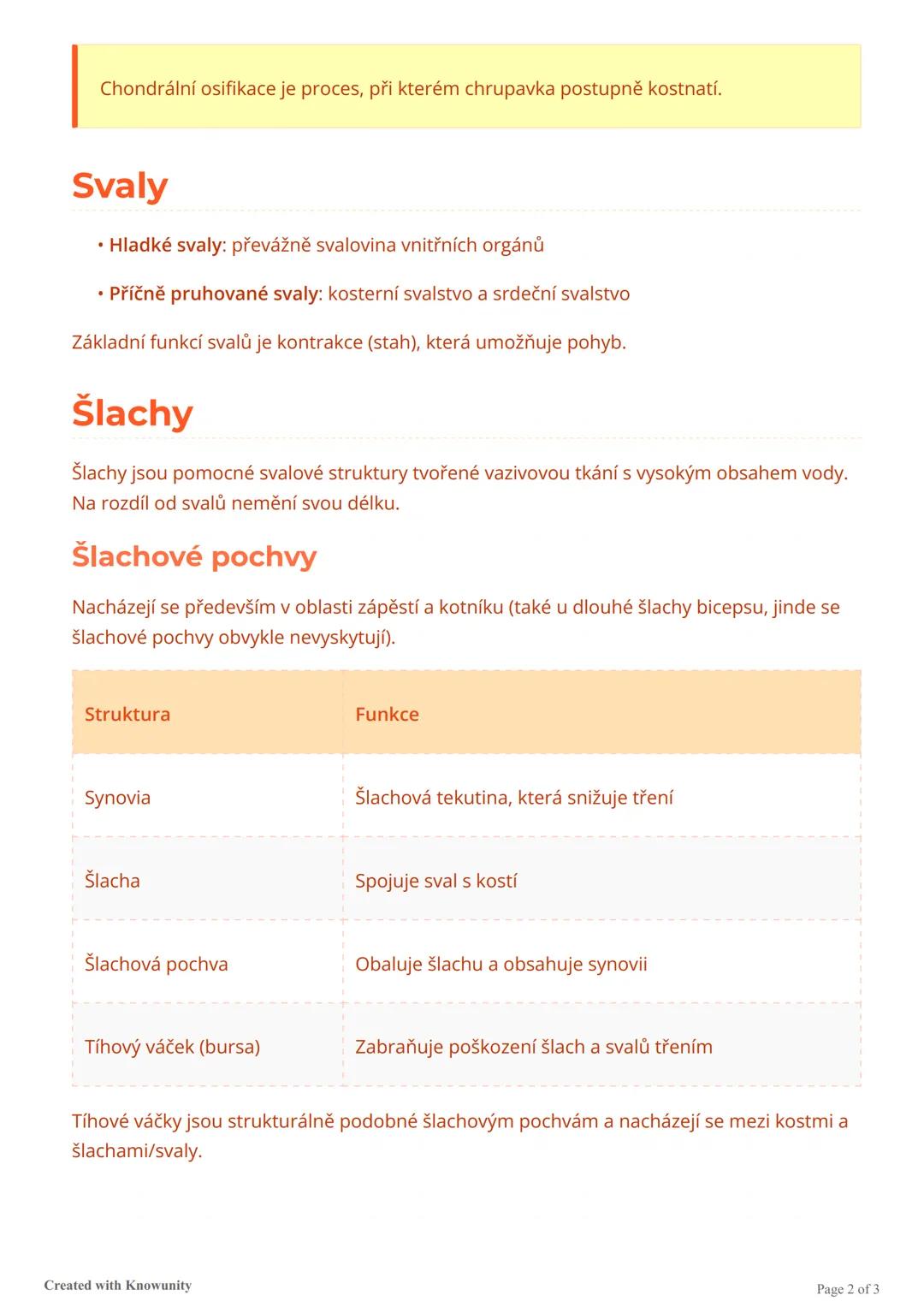 # Základy anatomie
Základní anatomické znalosti pro studium fyzioterapie, zaměřené na strukturu a funkci
šlach, kostí, chrupavek a svalů.