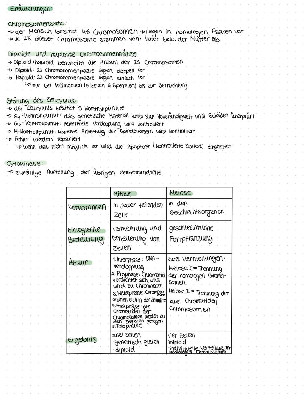 Zellzyklus
- beschreibt den Lebenszyklus von Zellen.
- verschiedene Phasen: Interphase & Mitose
up Prophase
4 G1-Phase
↳ S-Phase
4G2-Phase
G