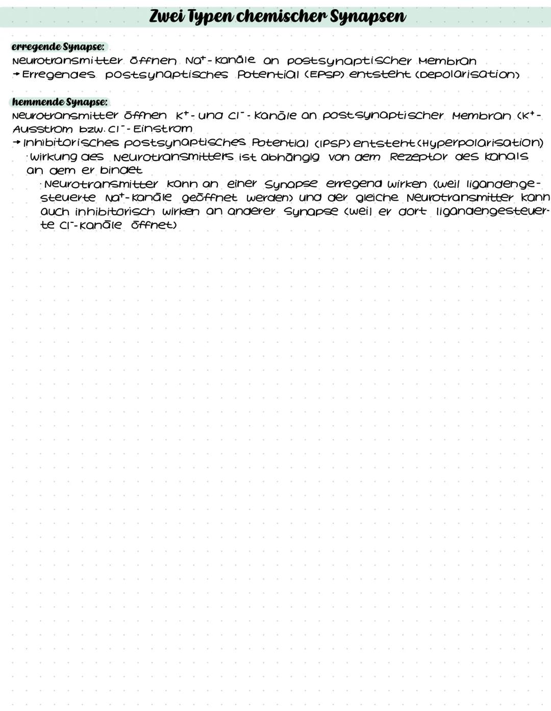 # EPSP und IPSP
- EPSP: exzitatorisches postsynaptisches Potenzial
- beschreibt positive veränderung der spannung einer Nervenzelle
- Nerve