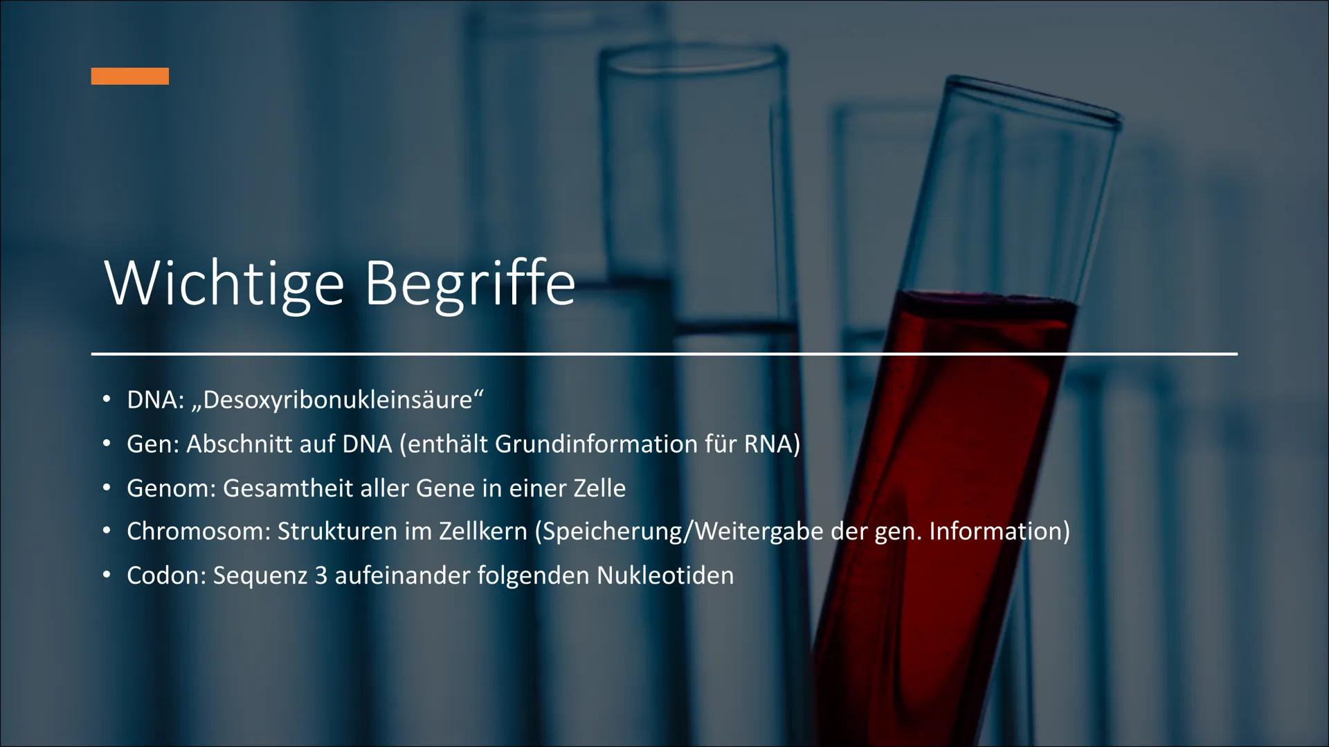 # Die DNA
xxx # Wichtige Begriffe
• DNA: „Desoxyribonukleinsäure“
• Gen: Abschnitt auf DNA (enthält Grundinformation für RNA)
• Genom: Ges